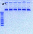 Thumbnail for version as of 15:02, 7 February 2013