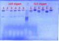 Thumbnail for version as of 16:30, 3 January 2012