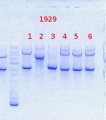 Thumbnail for version as of 10:52, 15 November 2013