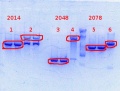 Thumbnail for version as of 17:20, 7 March 2014
