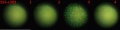 Thumbnail for version as of 15:37, 8 December 2011