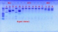 Thumbnail for version as of 14:44, 5 December 2011