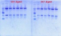 Thumbnail for version as of 13:22, 11 October 2012