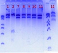 Thumbnail for version as of 14:04, 1 September 2017