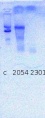 Thumbnail for version as of 15:56, 28 August 2014