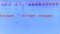Thumbnail for version as of 16:03, 26 March 2012