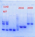 Thumbnail for version as of 17:32, 14 February 2014