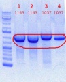 Thumbnail for version as of 10:29, 7 June 2012