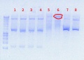Thumbnail for version as of 16:13, 17 August 2012
