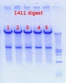 Thumbnail for version as of 13:07, 12 October 2012