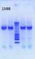 Thumbnail for version as of 14:25, 8 April 2013
