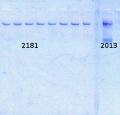 Thumbnail for version as of 12:09, 22 August 2014