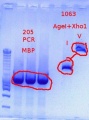 Thumbnail for version as of 22:35, 17 April 2012