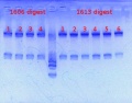 Thumbnail for version as of 13:31, 14 January 2013