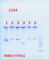 Thumbnail for version as of 12:23, 9 May 2014