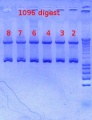 Thumbnail for version as of 15:17, 28 November 2012