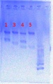 Thumbnail for version as of 14:02, 29 May 2013
