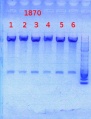 Thumbnail for version as of 16:46, 18 October 2013