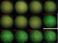 Thumbnail for version as of 17:32, 7 January 2012