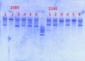 Thumbnail for version as of 15:23, 8 May 2014