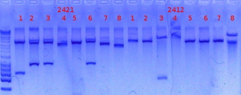RTENOTITLE