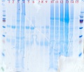 Thumbnail for version as of 15:42, 17 April 2012