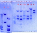 Thumbnail for version as of 16:21, 20 May 2011