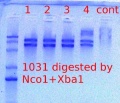 Thumbnail for version as of 13:57, 26 March 2012