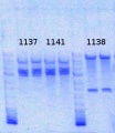 Thumbnail for version as of 11:39, 13 January 2014