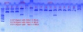 Thumbnail for version as of 14:31, 3 December 2012