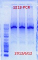 Thumbnail for version as of 08:42, 13 June 2012