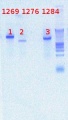 Thumbnail for version as of 09:58, 13 August 2012