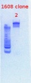Thumbnail for version as of 16:56, 14 January 2013