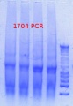 Thumbnail for version as of 09:57, 10 April 2013