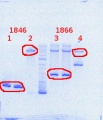 Thumbnail for version as of 13:37, 19 September 2013