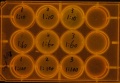 Thumbnail for version as of 14:14, 26 March 2011