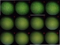 Thumbnail for version as of 11:50, 28 November 2011