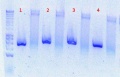 Thumbnail for version as of 09:50, 2 August 2012