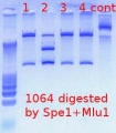 Thumbnail for version as of 11:20, 3 April 2012