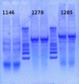 Thumbnail for version as of 15:30, 15 March 2013