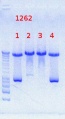 Thumbnail for version as of 17:56, 2 August 2012