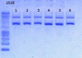 Thumbnail for version as of 15:10, 21 December 2012