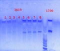 Thumbnail for version as of 10:34, 7 June 2013