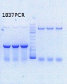 Thumbnail for version as of 11:25, 30 August 2013