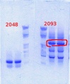 Thumbnail for version as of 15:25, 11 March 2014