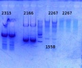 Thumbnail for version as of 12:56, 11 September 2014