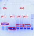 Thumbnail for version as of 10:17, 30 August 2013