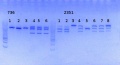 Thumbnail for version as of 14:28, 13 October 2014
