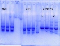 Thumbnail for version as of 13:50, 8 January 2015