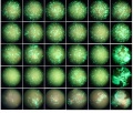 Thumbnail for version as of 15:59, 13 April 2016